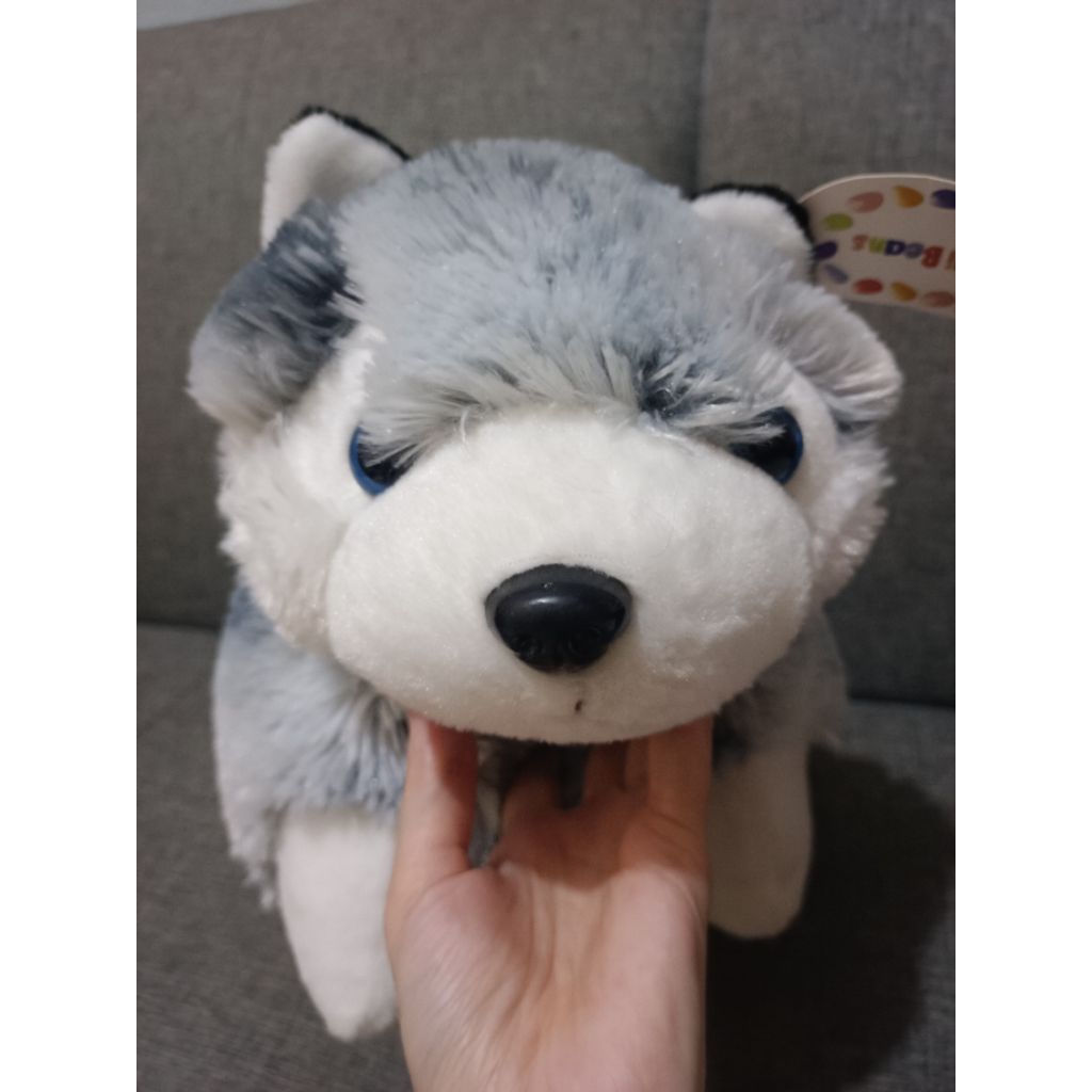 Boneka bantal husky 40 cm x 40 cm bahan lembut