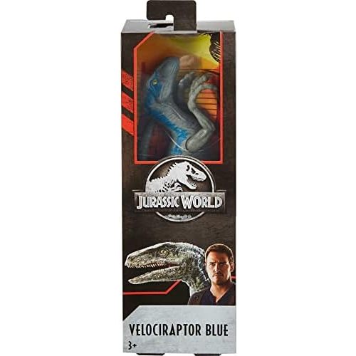 Mattel Jurassic World Toys Large Basic Velociraptor Blue