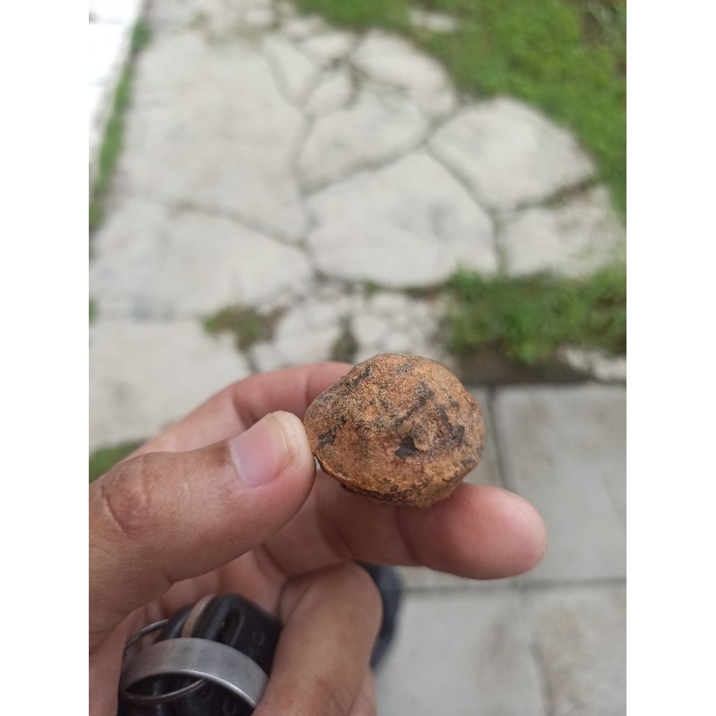 Muncang_adu_jpe_cangklongan/sudah_di_buka