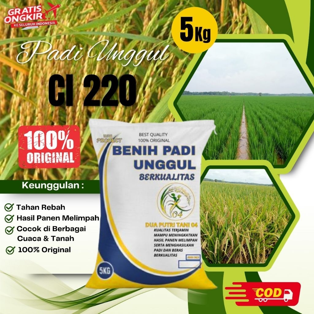 bibit PADI CL 220 kemasan 5kg