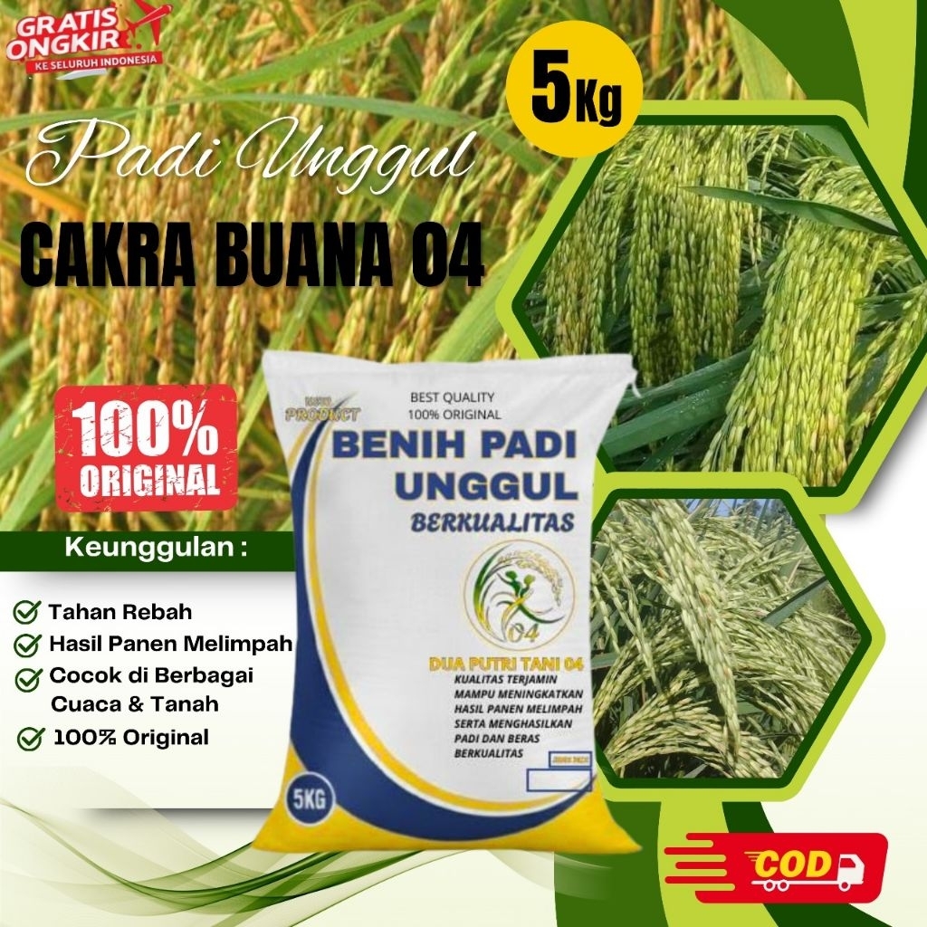 BIBIT PADI UNGGUL CAKRABUANA 04 KEMASAN 5KG