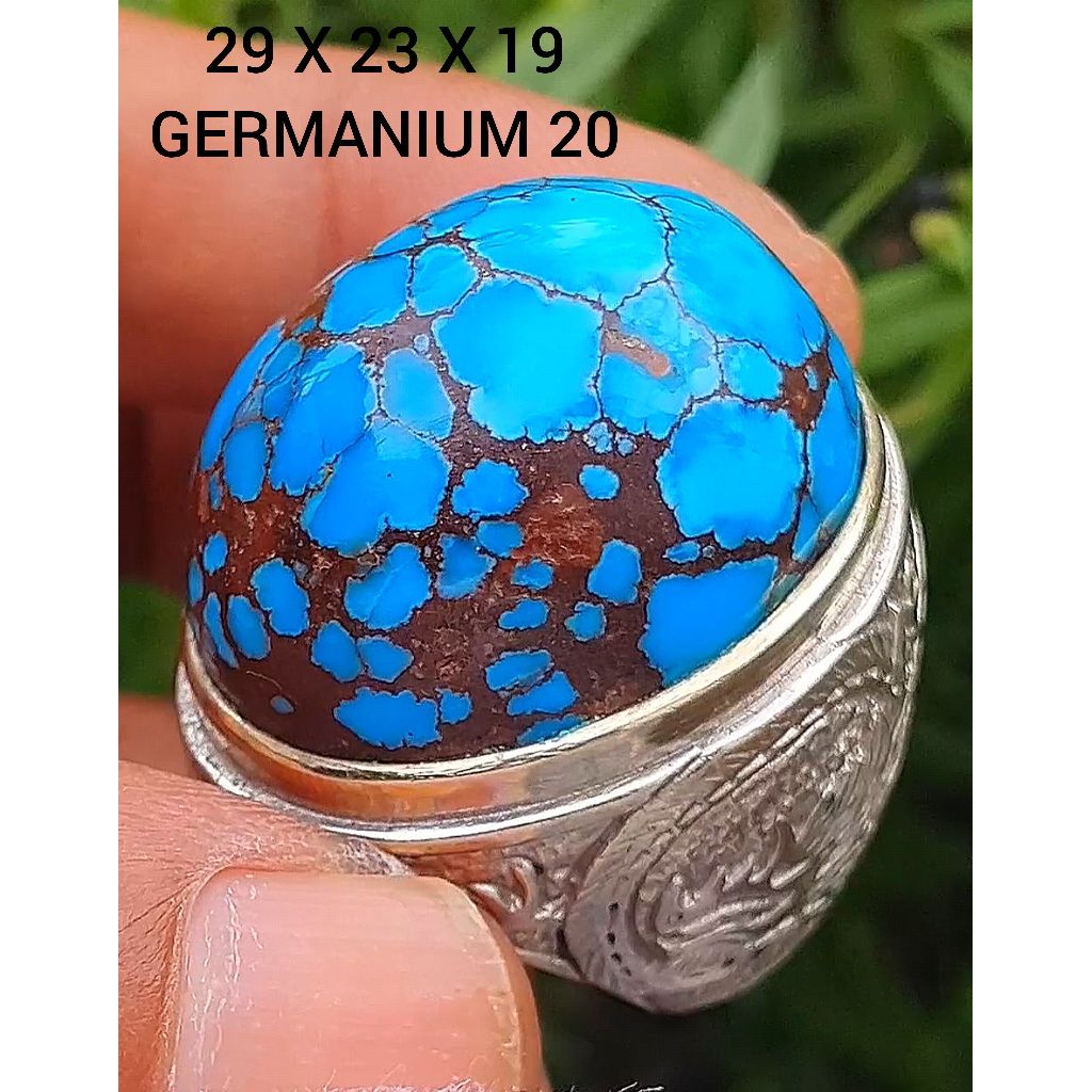 pirus Mesir lawasan royalblue montok  10