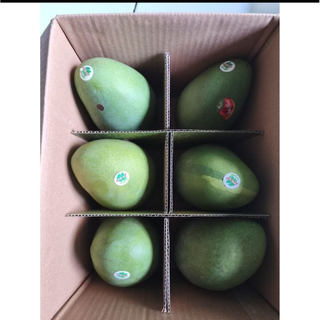 buah mangga Lily matang pohon asli Lily box 3 kg