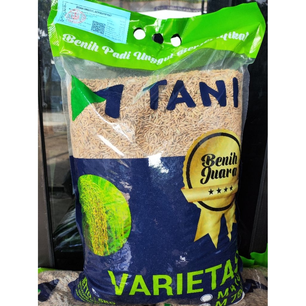 PADI M70D 5KG M-TANI