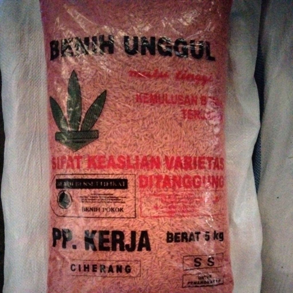 Benih Padi Ciherang SS PP.KERJA BOYOLALI 5kg