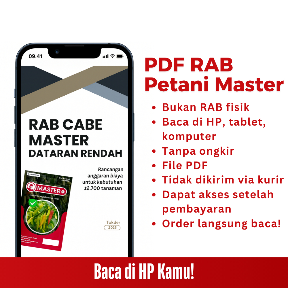 MASTER RM - RAB CABE MASTER Dataran Rendah