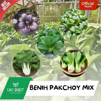 ( 500 Butir ) Benih Biji Pakcoy Mix | Pakcoy Putih | Pakcoy Hijau | Pakcoy Merah | Pakcoy Baby