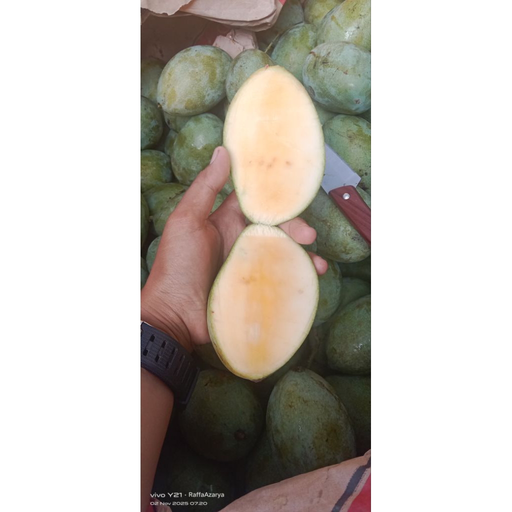 Mangga Manalagi 1kg