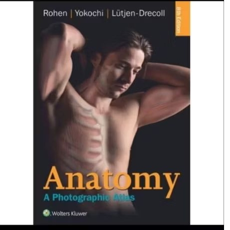 Yokochi Anatomy : A Photographic Approach eight edition full color