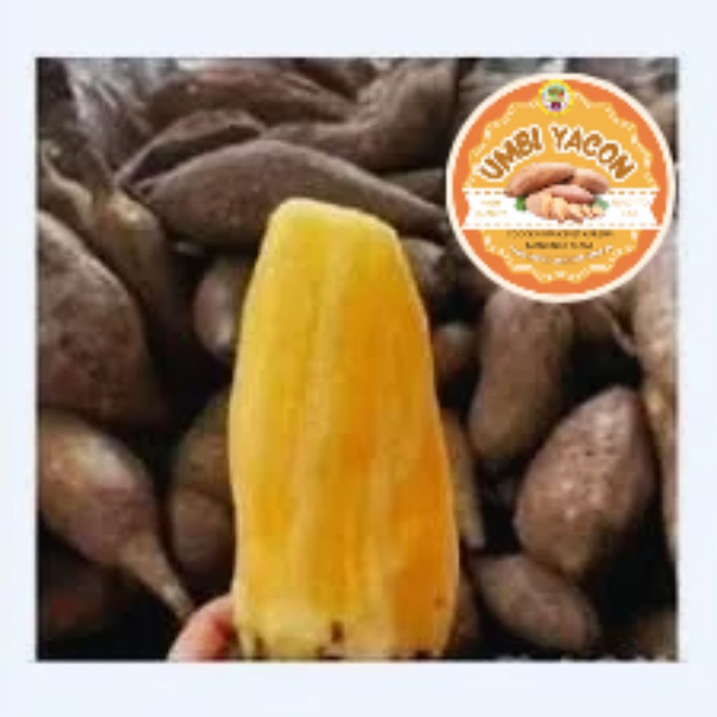 Umbi Yakon Potong