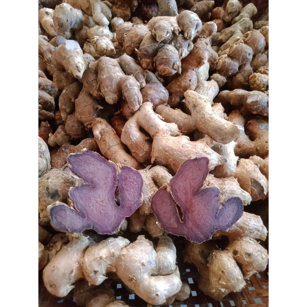 [TERMURAH] Kunyit Hitam Asli Original,Obat Tradisional,Herbal Alami 250gram