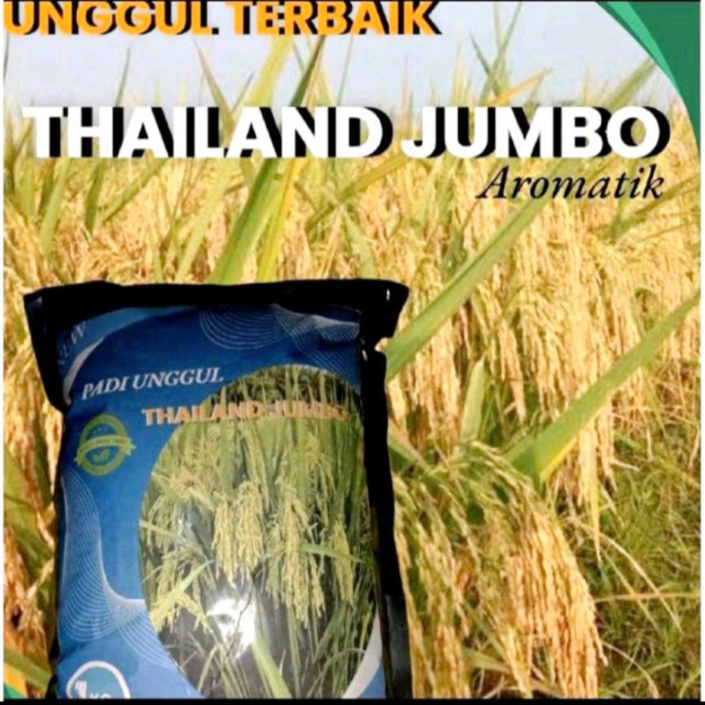 BENIH PADI THAILAND JUMBO AROMATIK PAKET 5KG
