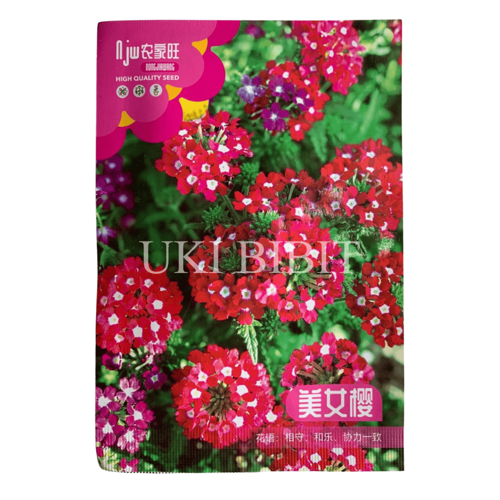 Kemasan Original | Benih Biji Bunga Verbena | Yolanda Flowers | Alyssum Sweet