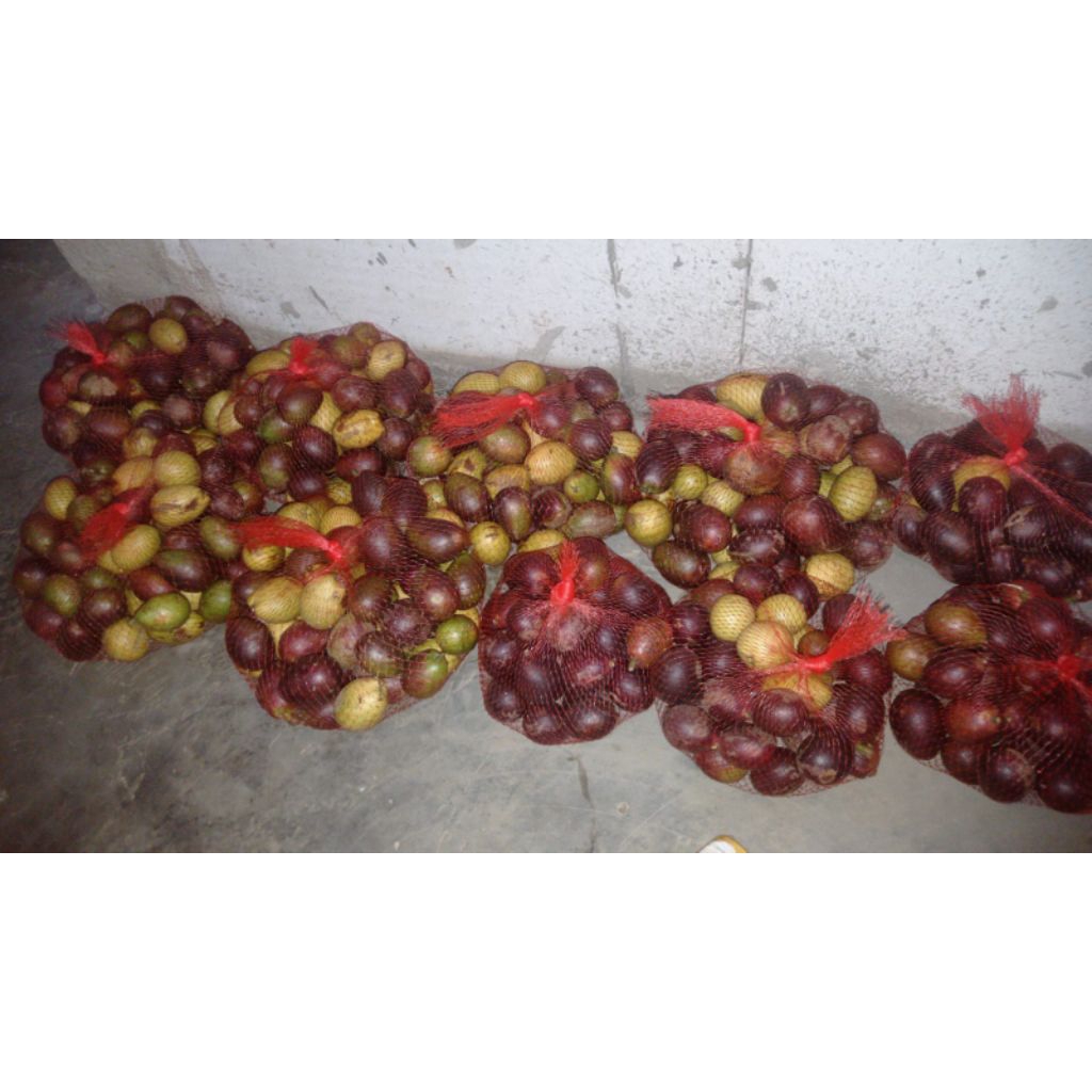 Buah matoa fresh 1kg manis dan berdaging Tebal seperti Durian