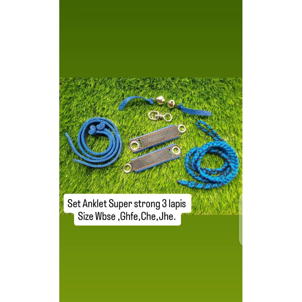 angklet/pengikat kaki burung elang JHE,CHE,WBSE super strong