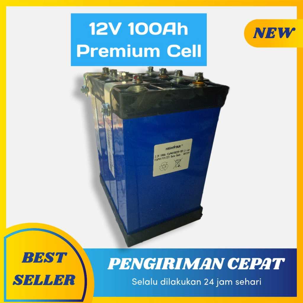 Baterai Lifepo4 12V 100Ah Ex Exicom Premium Cell