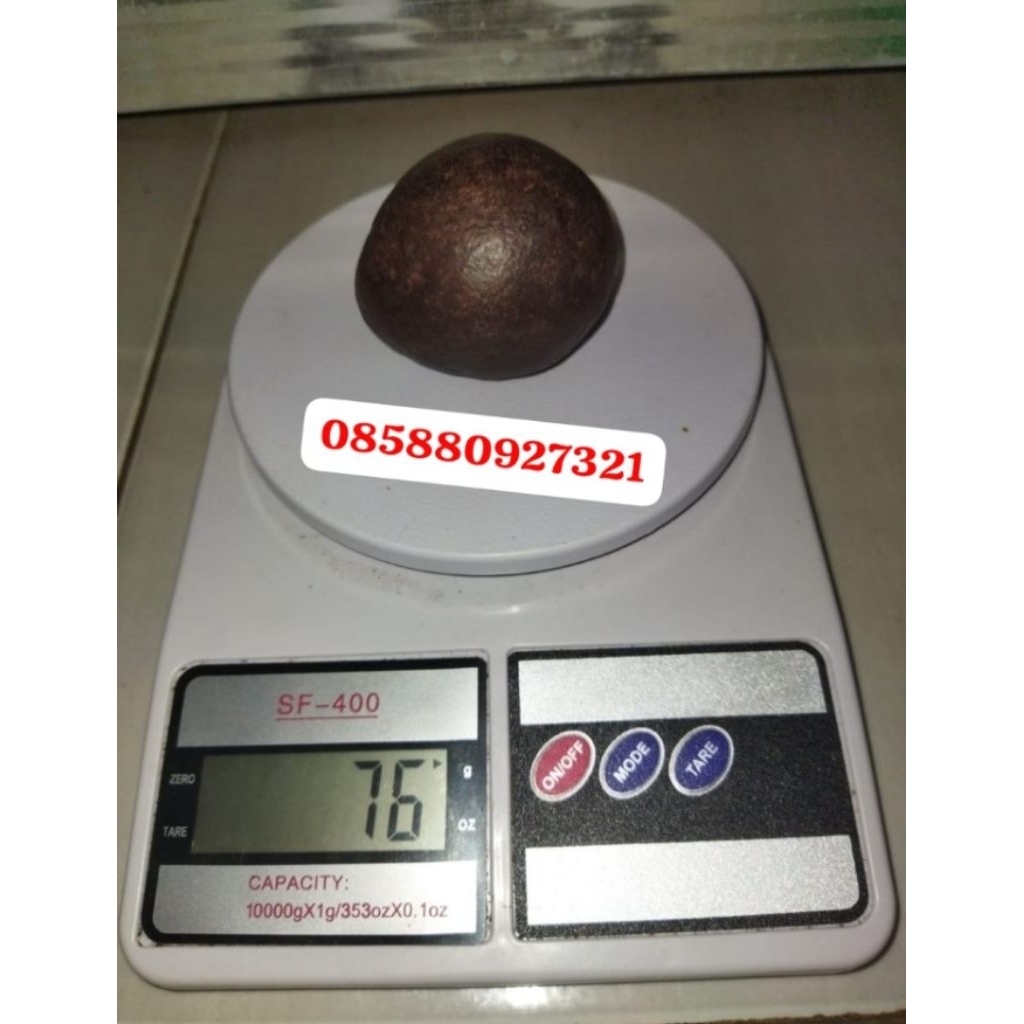 Geliga Batu Landak Hitam Asli 100%