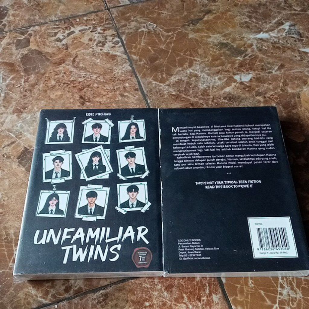 Novel UNFAMILIAR TWINS