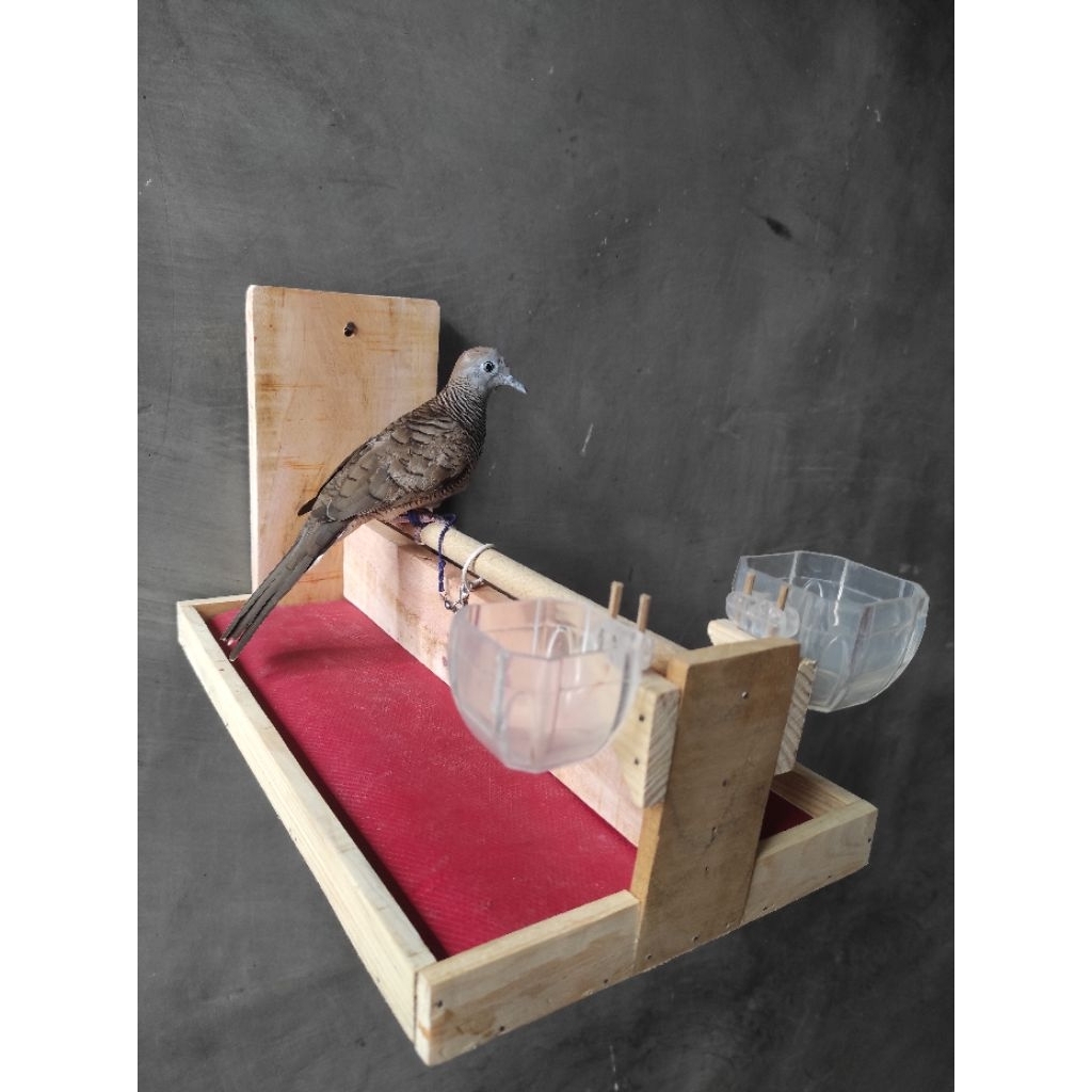 Kandang Layang Sangkar Burung Tempel Dinding Tembok Burung Perkutut Kutilang Trucukan Cendet