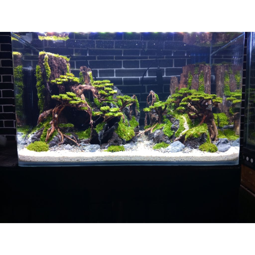 AQUASCAPE PAKET FULLSET UK 60 HIASAN AQUARIUM