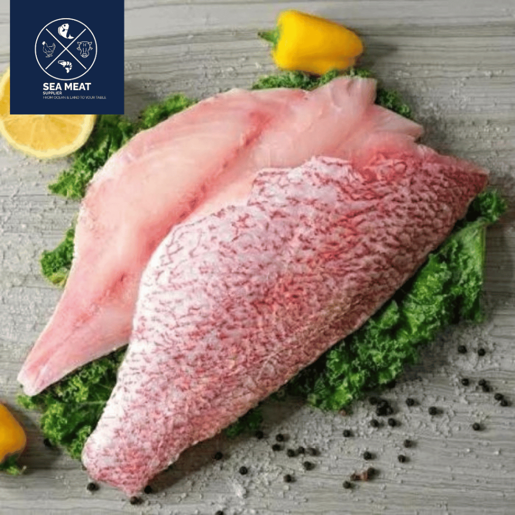 IKAN KAKAP MERAH FILLET | RED SNAPPER FILLET | PREMIUM | FRESH FROZEN & SEGAR