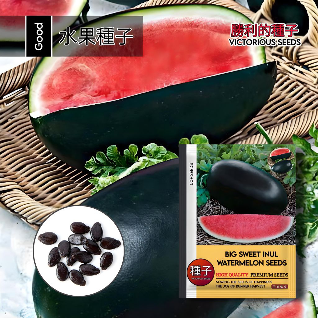 1 Pack (50 Butir) Benih Semangka Big Sweet Inul Jumbo Non Biji F1 Kemasan Import