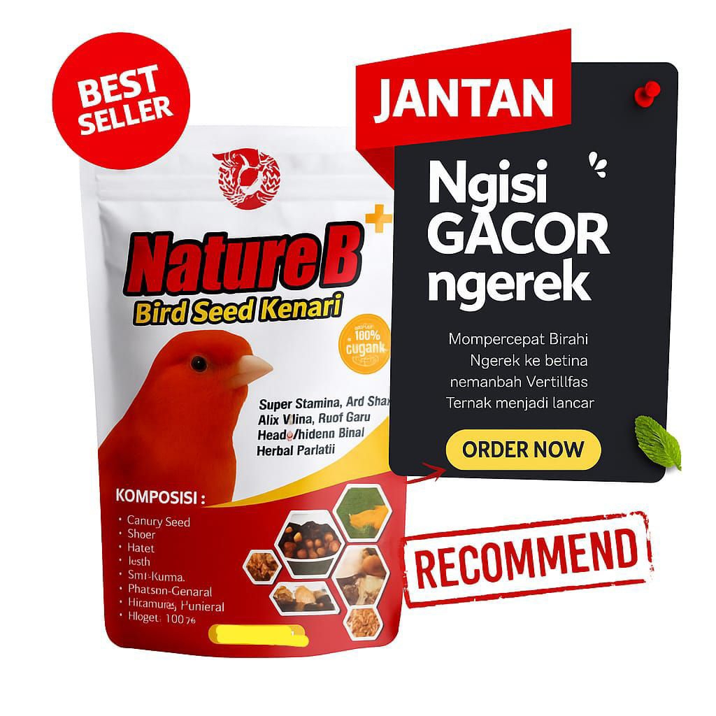 Pakan Kenari Herbal Harian Gacor - Pakan Ternak Kenari - Pakan Herbal Terbaik Nature B Kenari