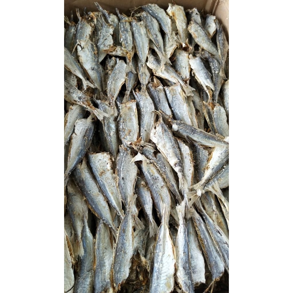 Ikan asin REBUS tanpa kepala/ ikan asin REBUS prutol asli lampung TERMURAH bisa COD