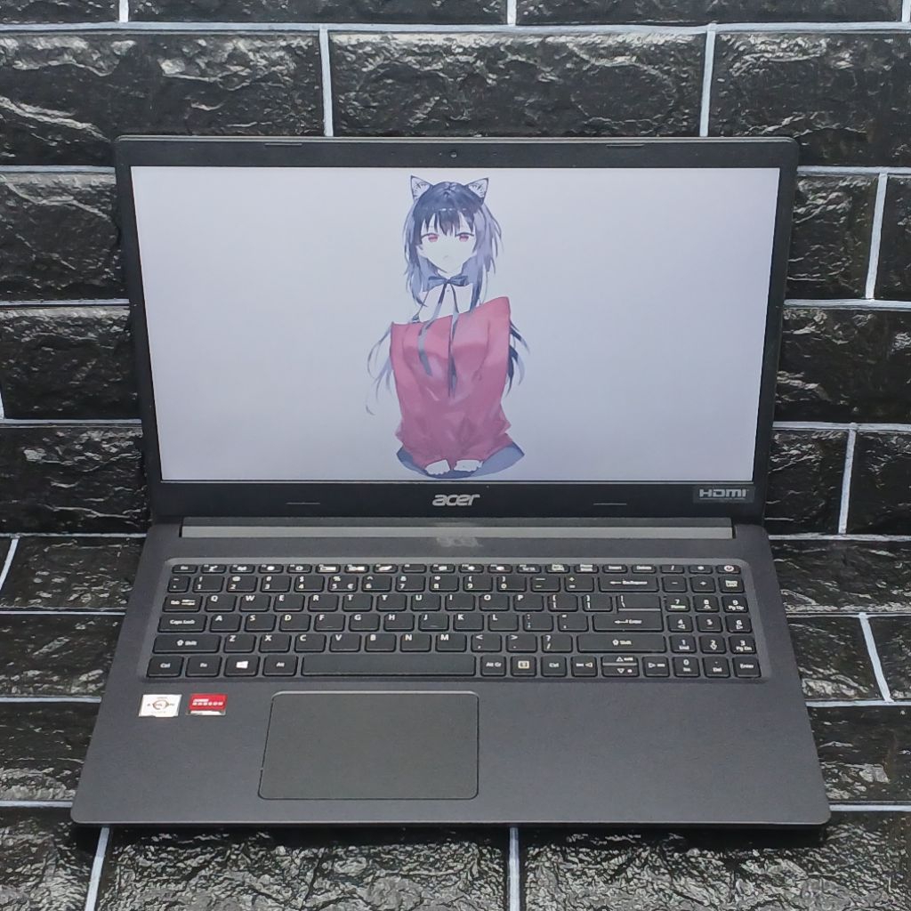 Laptop Acer Extensa 215-22 AMD Athlon Silver 3050U 4/256GB