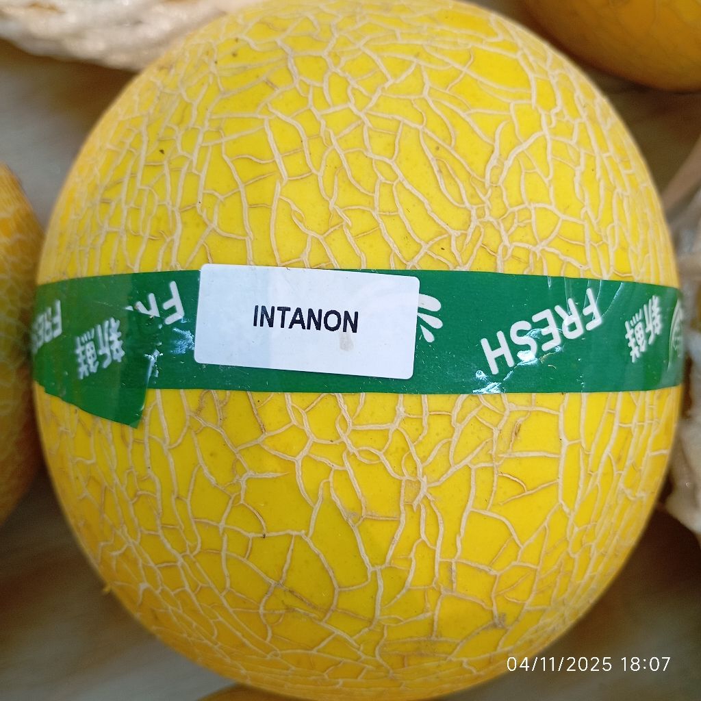 Melon Intanon segar fresh 1.3 kg
