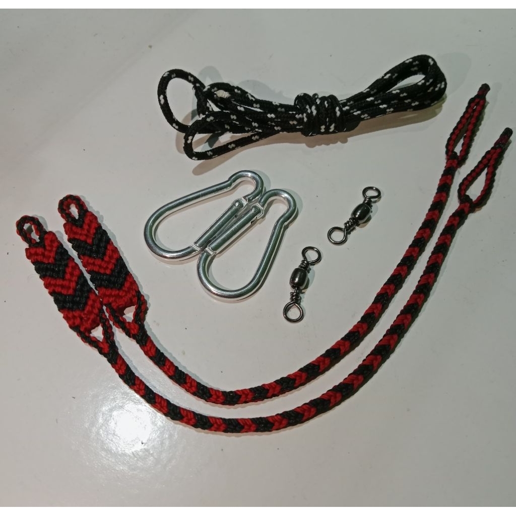 tali Arabian Alap alap Bwk/Cg