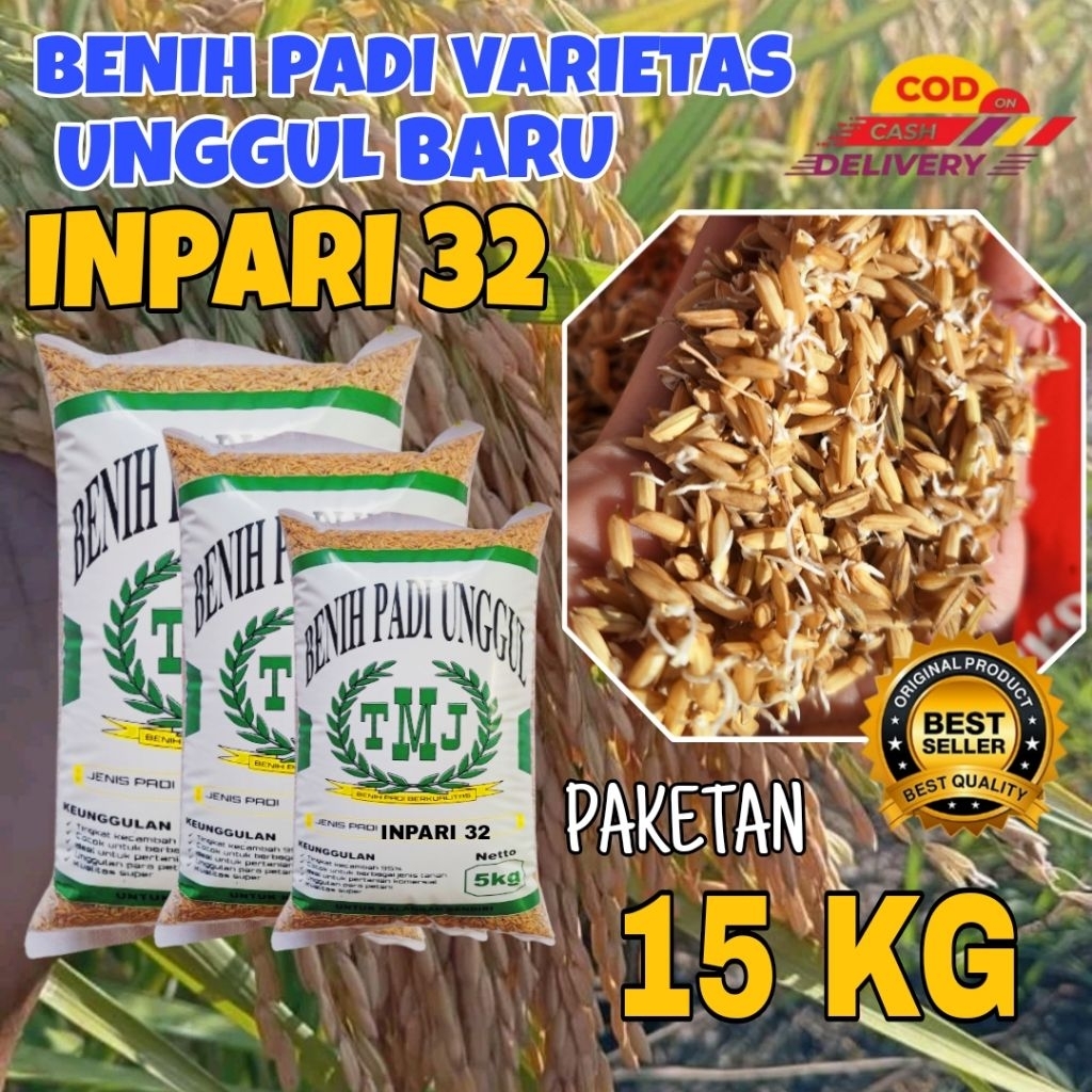Benih padi Inpari 32 bibit padi unggul Inpari kemasan 15kg premium