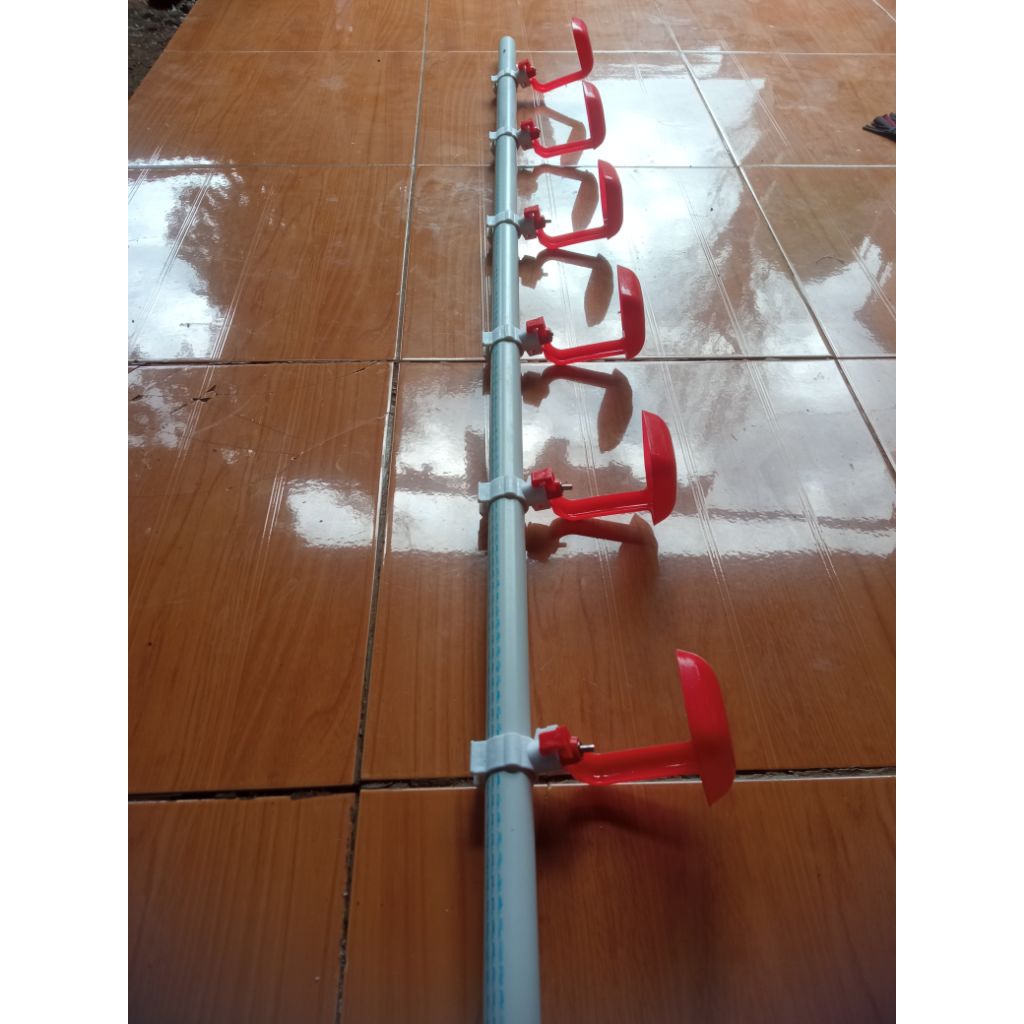 nipel minum ayam petelur