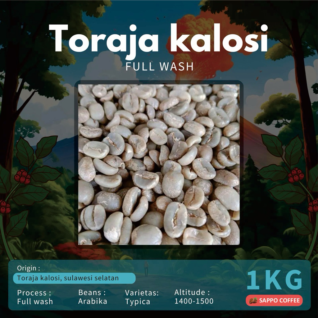 Green Bean Toraja Kalosi Full Wash - biji kopi mentah