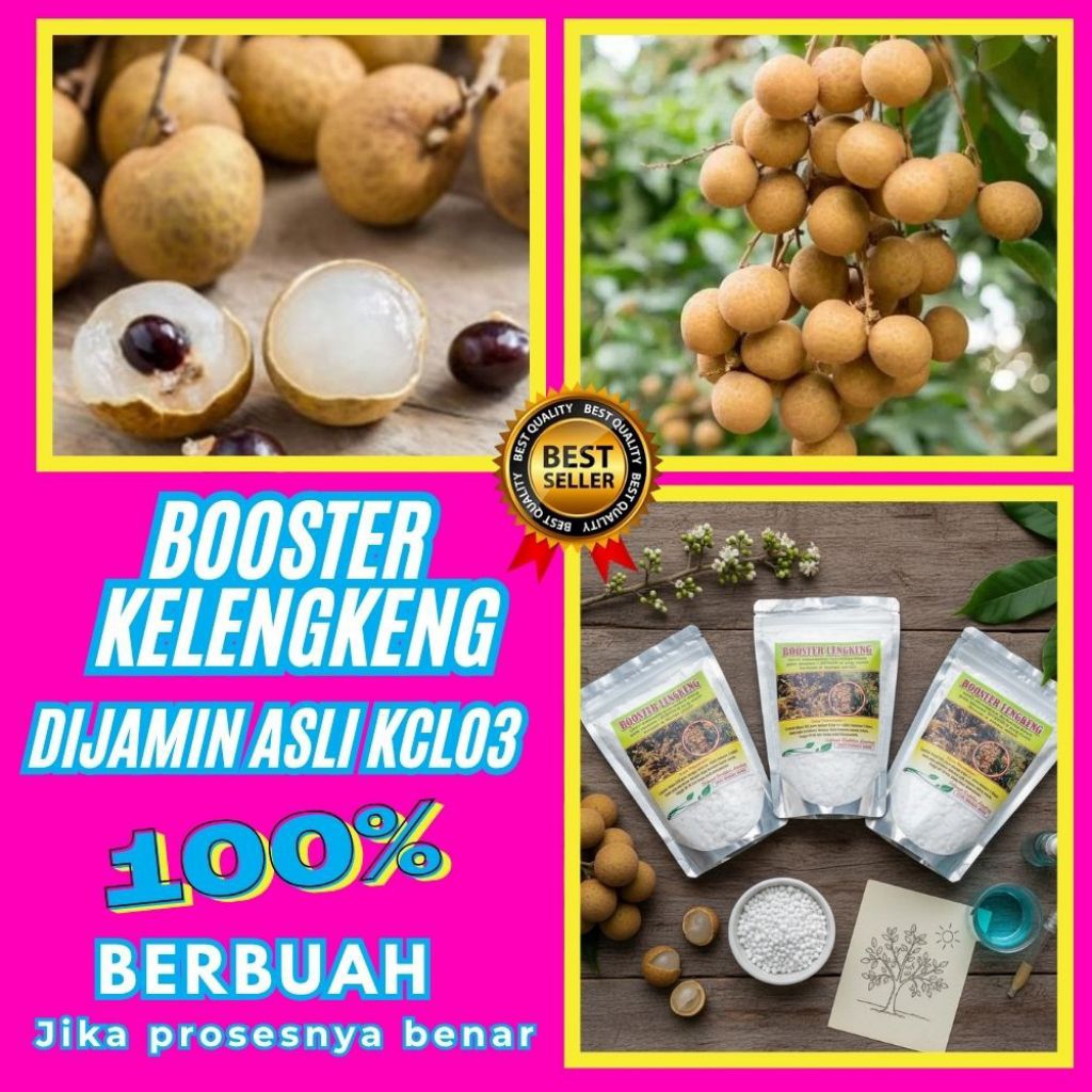 Boster Kelengkeng Kclo3