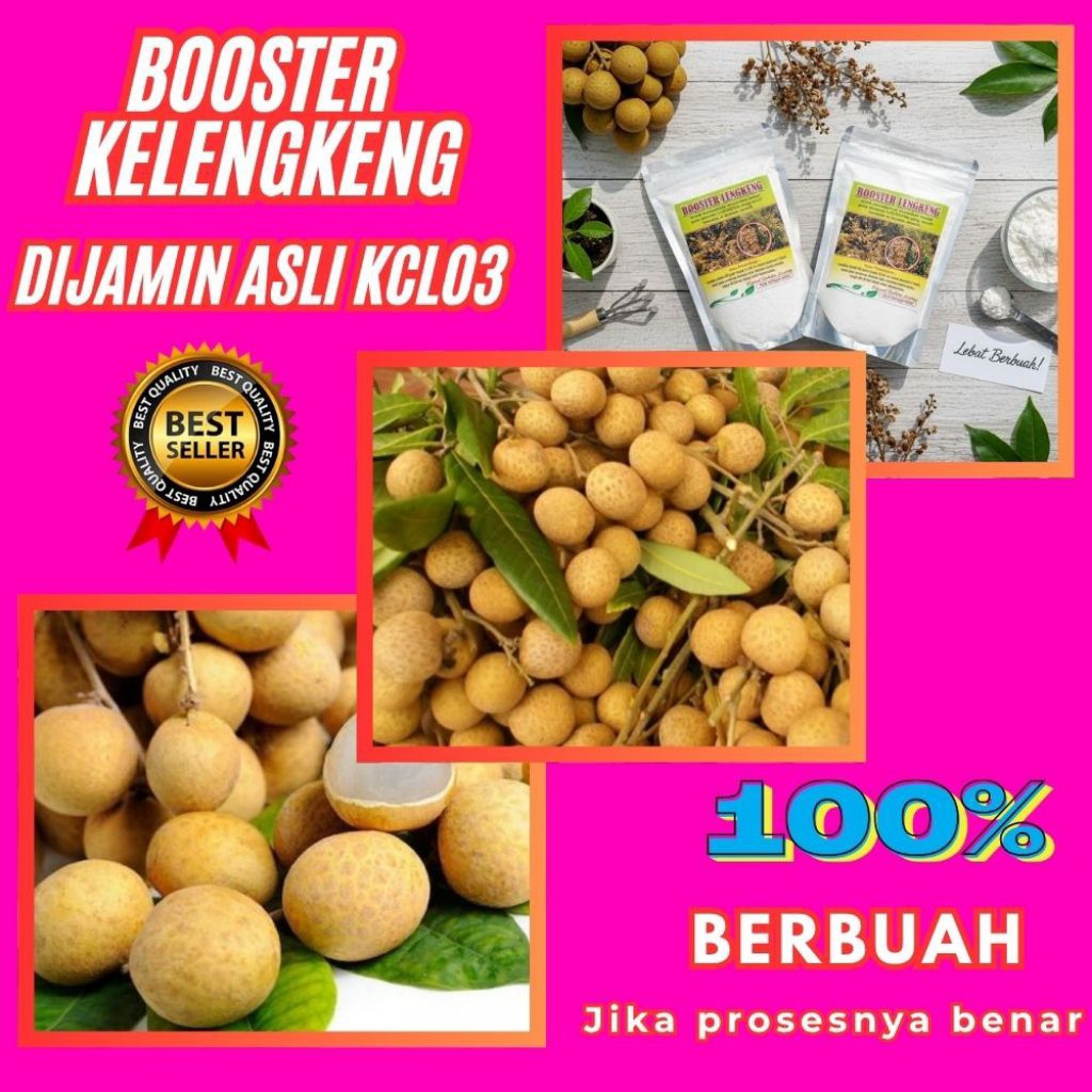 Booster Kelengkeng Terbaik, Booster Kelengkeng Terdekat