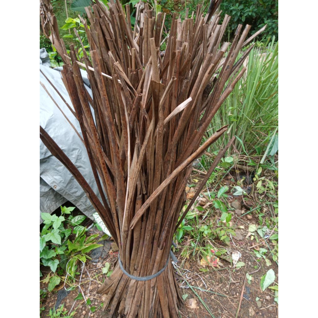 daun kelapa kering 1 kg