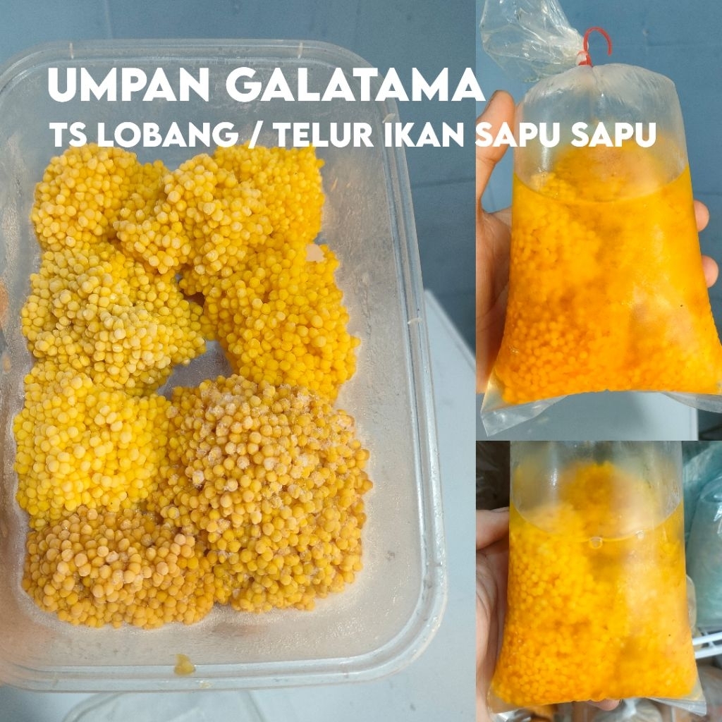 Umpan Galatama Ikan Lele, Bawal, Nila Telur Sapu Sapu