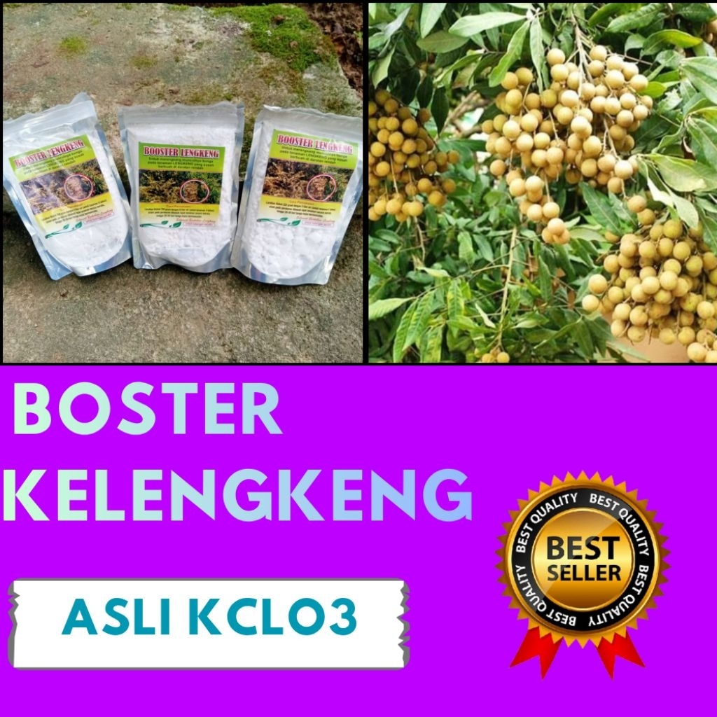 Booster Kelengkeng 1Kg
