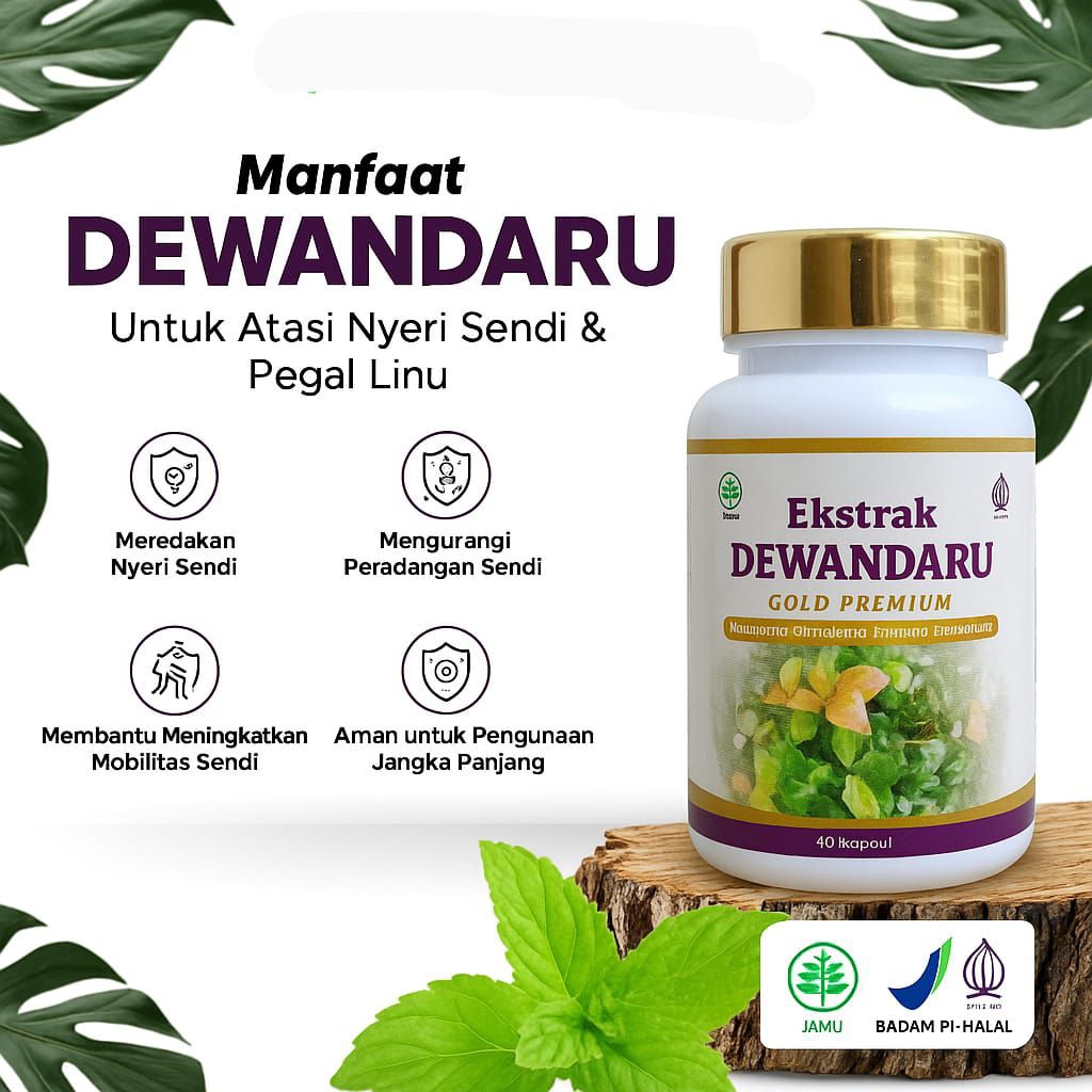 KAPSUL DAUN DEWANDARU ASLI ORIGINAL / DEWANDARU KEMASAN BOTOL