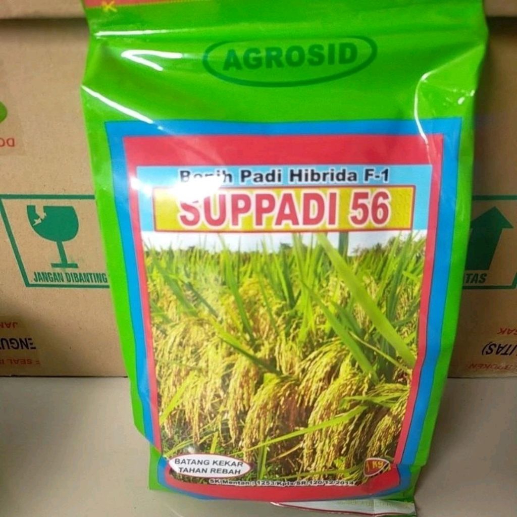 1kg Benih Padi HIBRIDA SUPPADI 56 / Benih Padi Supadi 56 ( BISA COD )