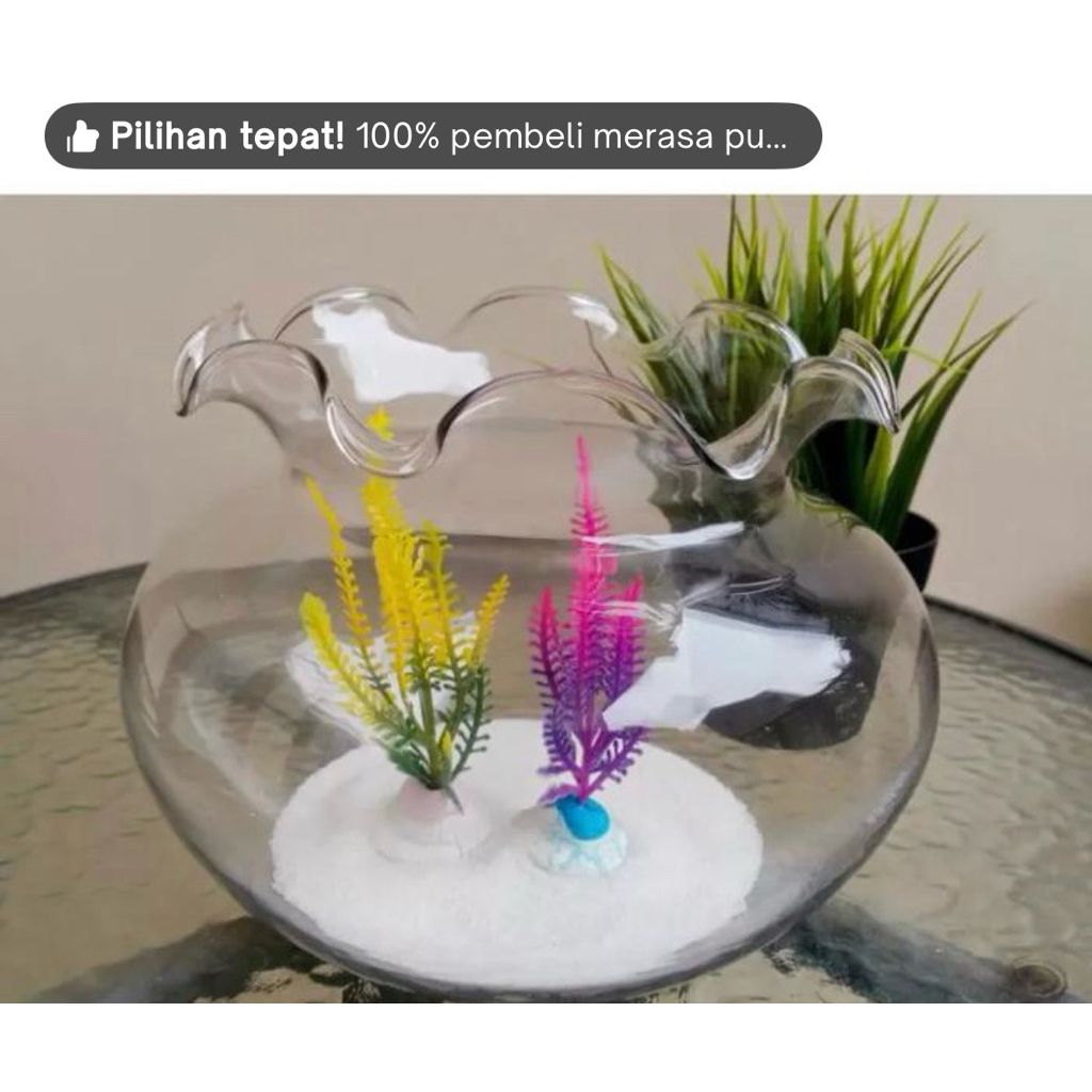 aquarium kaca bulat 10,5 liter