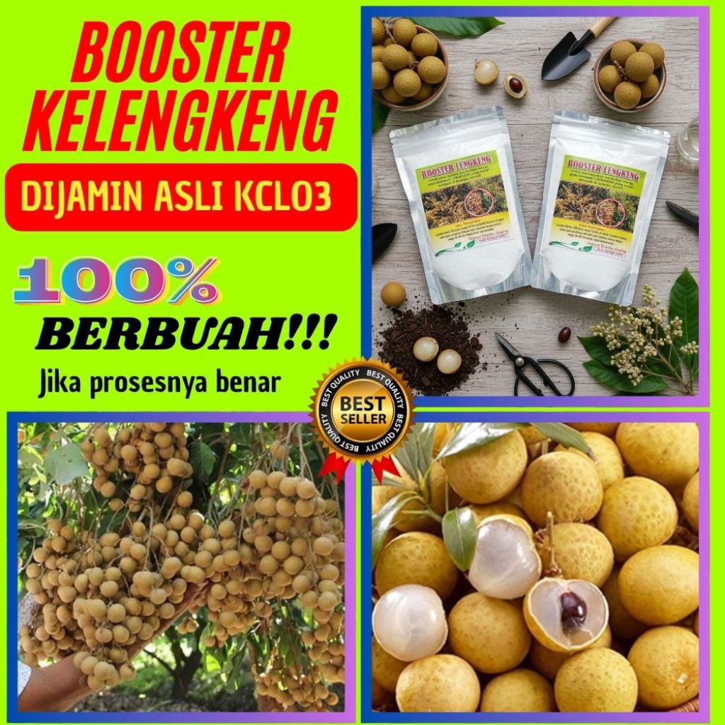 Pupuk Kelengkeng Kclo3, Pupuk Kelengkeng Merah