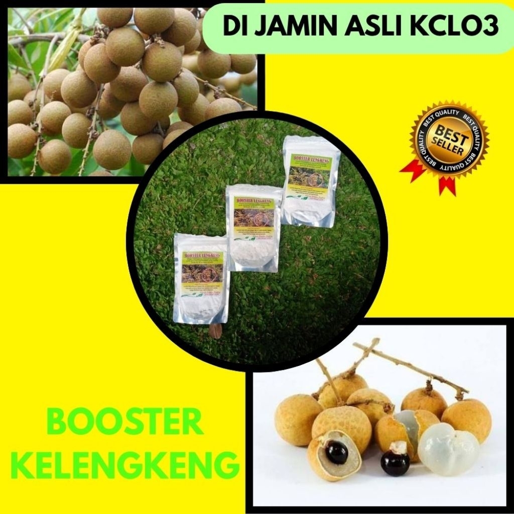 Pupuk Kelengkeng Merah, Pupuk Kelengkeng New Kristal, Pupuk Kelengkeng Saat Berbunga