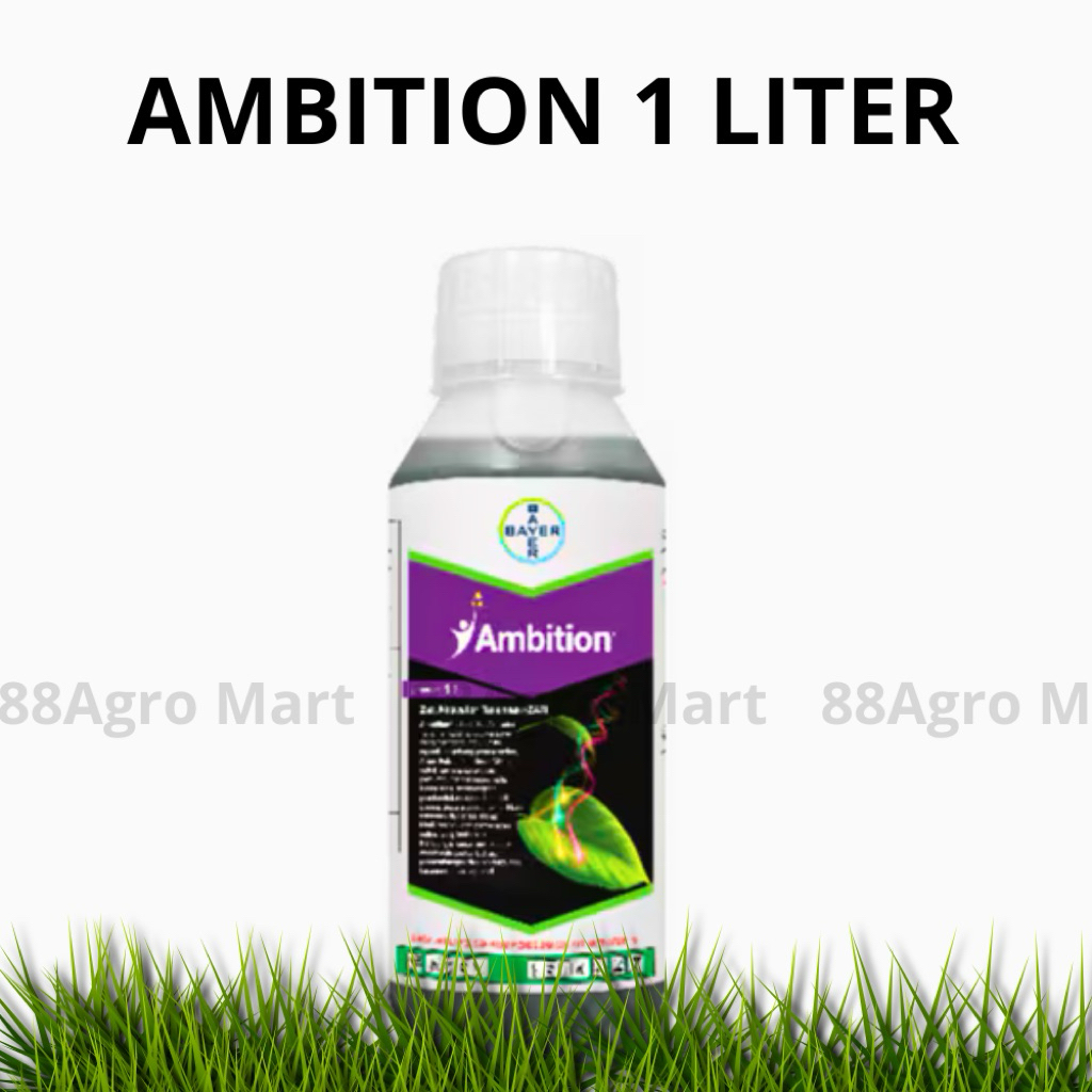 AMBITION 1 LITER / AMBITION 1LITER / AMBITION ZAT AKTIVATOR