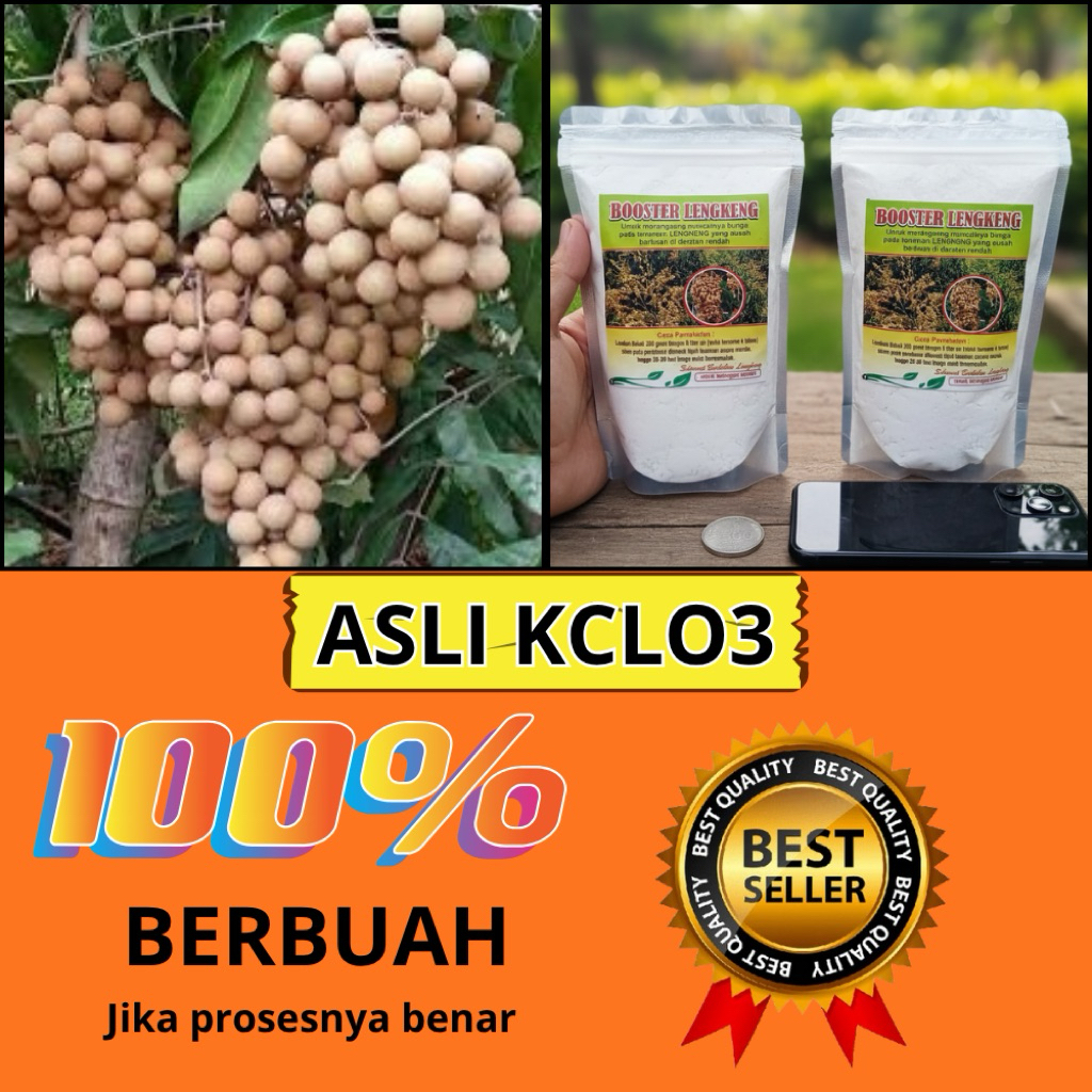 Booster Kelengkeng Terbaik, Booster Kelengkeng Terdekat