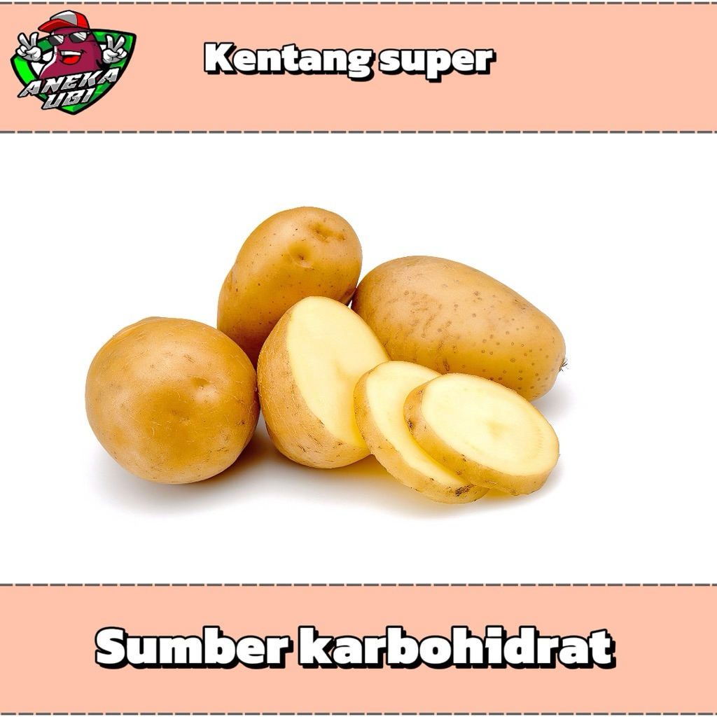 kentang bromo super 1kg mentah
