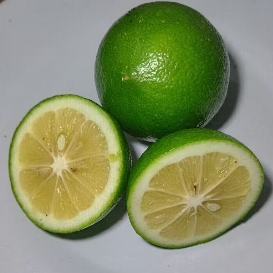 Lemon California Hijau Segar 1 Kg