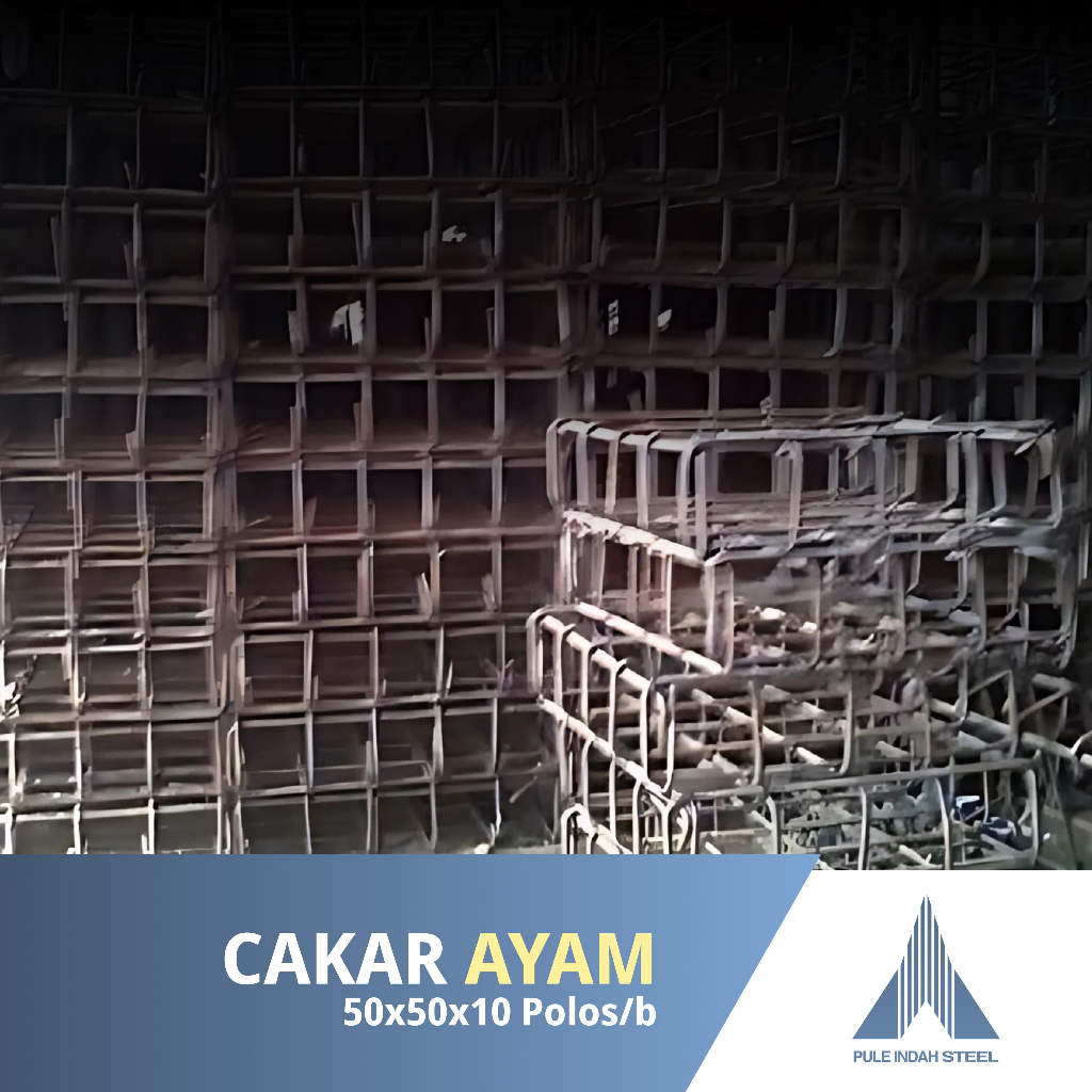 Cakar Ayam 50x50x10 Polos/b