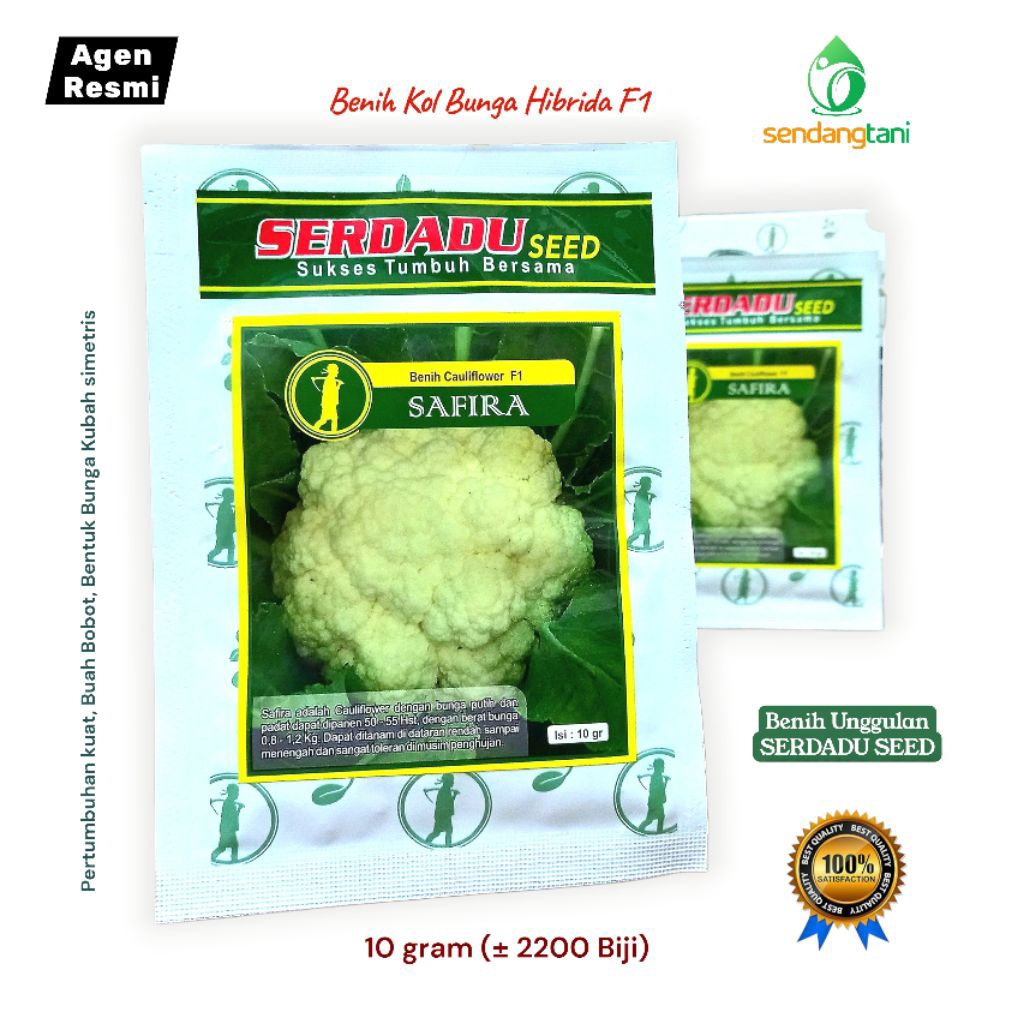 Benih Kol Bunga SAFIRA F1 10 gr Bibit Califlower Putih Kubah Serdadu Seed bukan Sakata